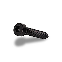 DE020AI-ALLEN SCREW 20MM IRON (40 PCS)