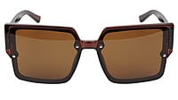 Female Oversized Square Sunglasses. Brown Color Frame Female Oversized Square Sunglasses. Brown Color Frame