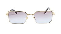 Unisex Small Rectangular Sunglasses. Golden Frame