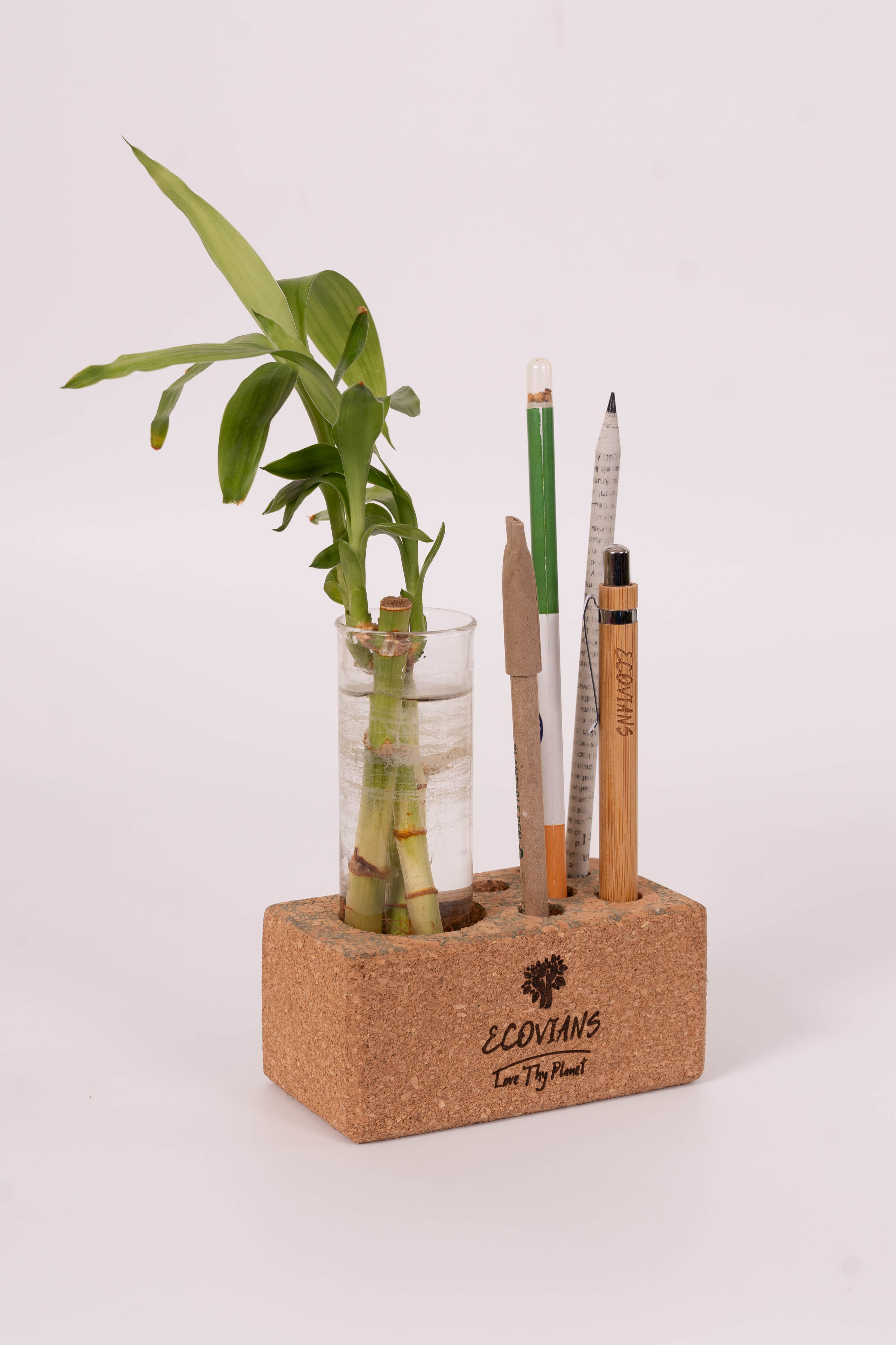 Cork Planter Cum Pen Holder