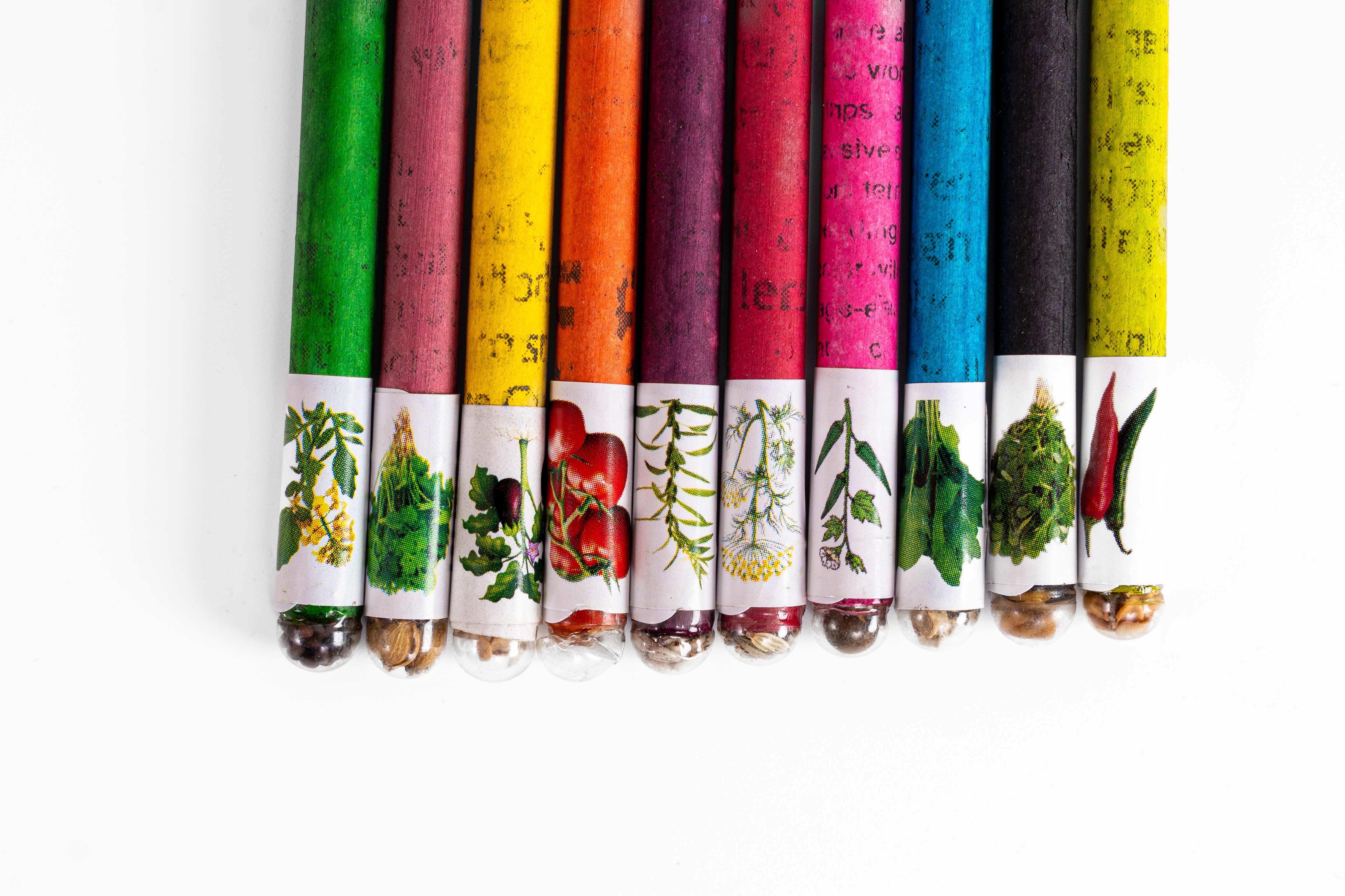 Color Paper black lead Pencils Eco-Friendly Pencil for Kids School |wood-free pencils Box (pack of 10) Color Paper black lead Pencils Eco-Friendly Pencil for Kids School |wood-free pencils Box (pack of 10)