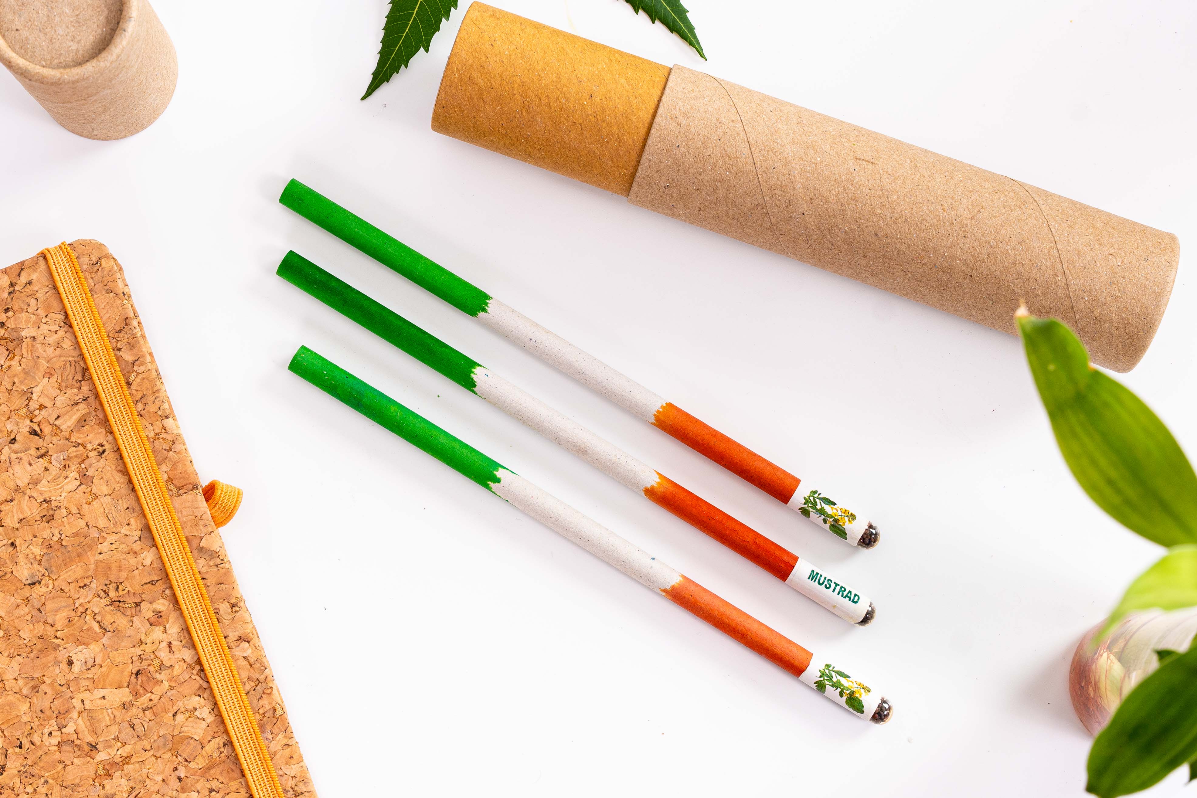 Tri Color Seed Pencils Eco-Friendly Charcoal Pencil |  wood-free pencils(Pack of 10)