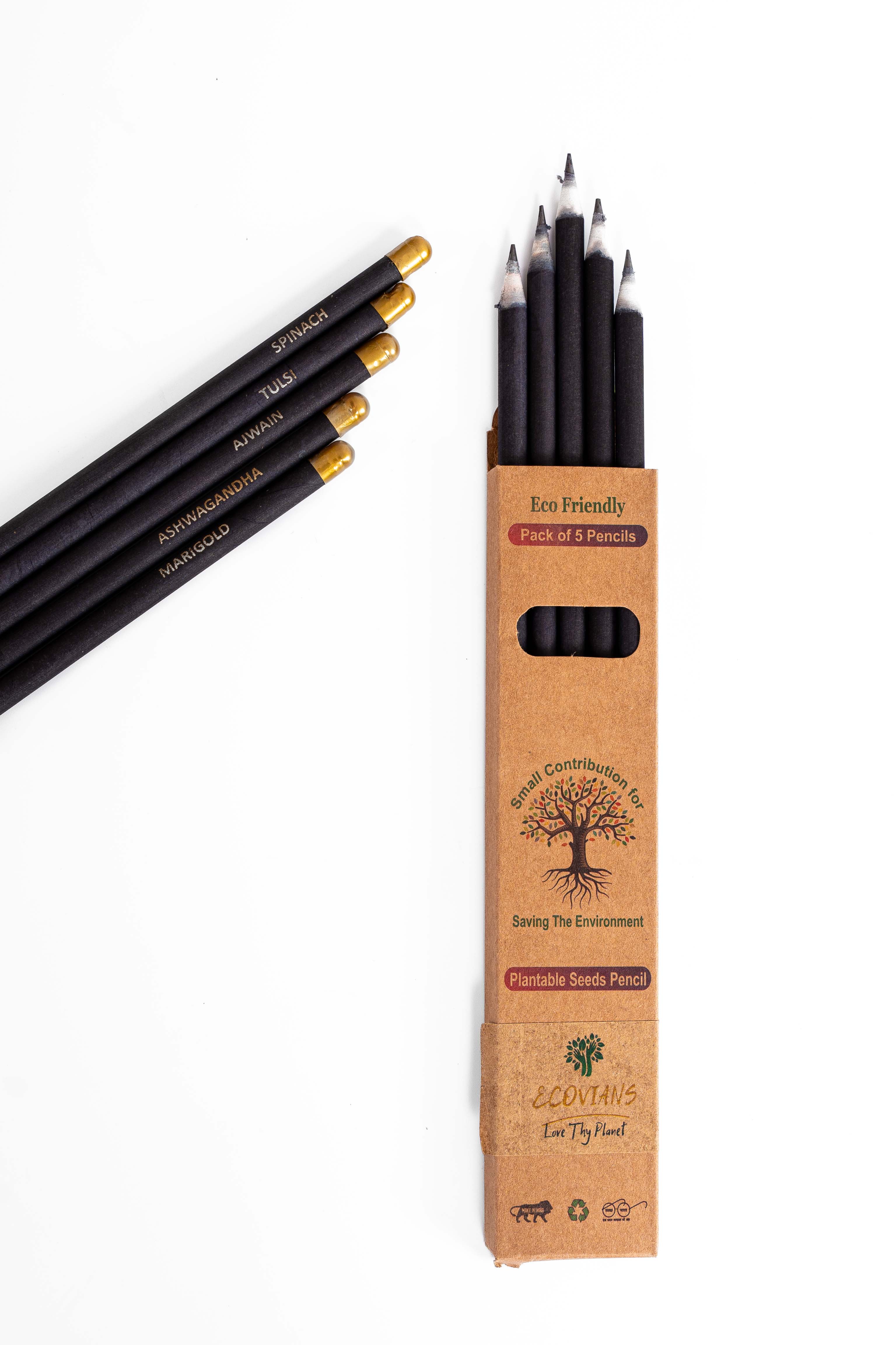 Plantable black paper Seed Pencils Eco-Friendly Charcoal Pencil for Kids School | wood-free pencils(Pack of 5) Plantable black paper Seed Pencils Eco-Friendly Charcoal Pencil for Kids School | wood-free pencils(Pack of 5)