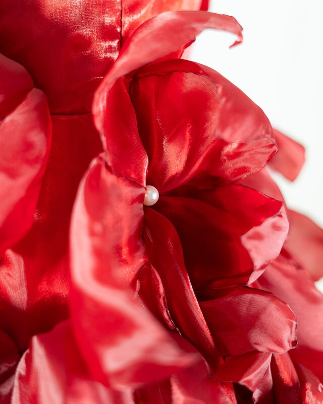 Ruby Petal Dress