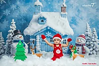 Snowman Wonderland - 5x7 Feet