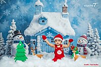 Snowman Wonderland Theme