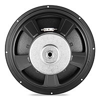 DE1000-01 Woofer 10" 4 Ohms 100 Watts (2 Pcs)
