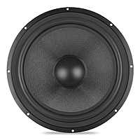 DE1000-01 Woofer 10" 4 Ohms 100 Watts (2 Pcs)