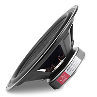 DE1000-01 Woofer 10" 4 Ohms 100 Watts (2 Pcs)