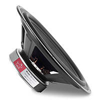 DE1000-01 Woofer 10" 4 Ohms 100 Watts (2 Pcs)