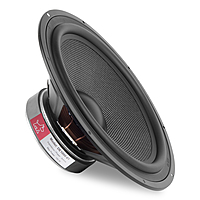 DE1000-01 Woofer 10" 4 Ohms 100 Watts (2 Pcs)