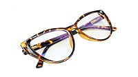 Female Oversize Cat Eye Spectacle Frame. Leopard Print