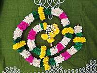 Lily Garland with Veni