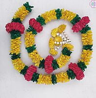 Lily Garland with Veni