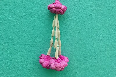 Open Lotus Flower with Lilly Strings