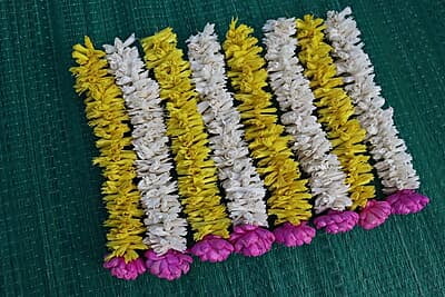 Lilly With Open Lotus Flower