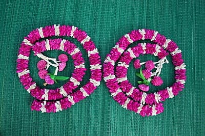 Lilly With Parrot Hanging