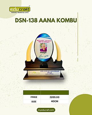 DSN-138 AANA KOMBU 40CM