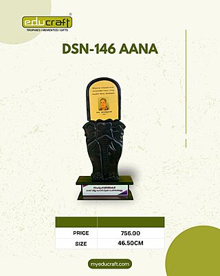 DSN-146 AANA 46.50CM