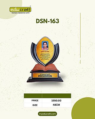 DSN-163 48CM (HANDICRAFT)