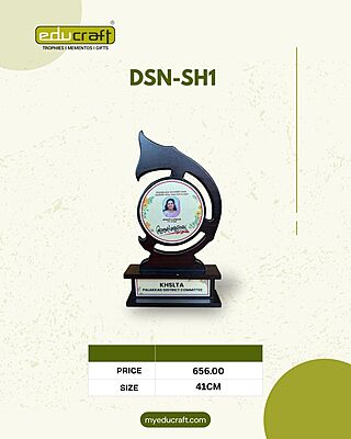 DSN-SH1 41CM
