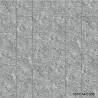 Silver Cloud Stone | DSPC-M-0005