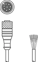 Leuze Connection Cable KD S-M12-8A-P1-050