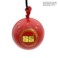 BALL - SS Hanging with CORD BALL - SS Hanging with CORD