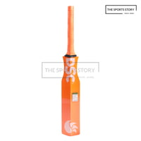 CATCHING BAT