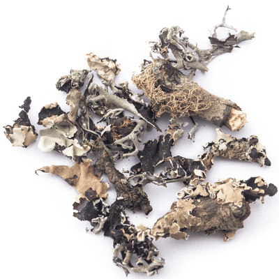 Raaja - Patthar ke Phool (Black stone Flower) Raaja - Patthar ke Phool (Black stone Flower)