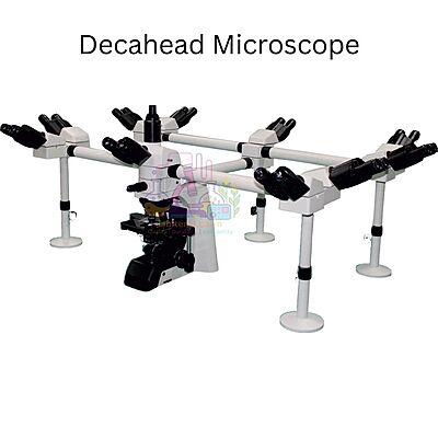 Decahead Microscope - ALMICRO