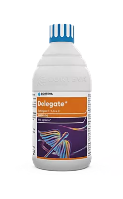 Delegate