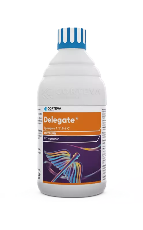 Delegate