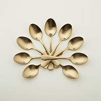 PURE TIN BRONZE DESSERT SPOON (Set Of 12)