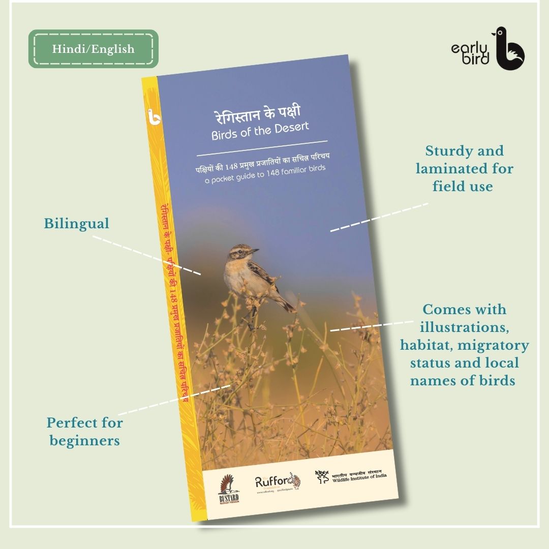 Early Bird Pocket Guides