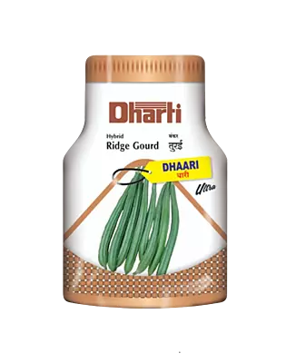 Ridgegourd Dhaari Ultra by Dharti Seeds