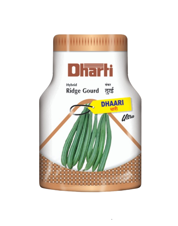 Ridgegourd Dhaari Ultra by Dharti Seeds