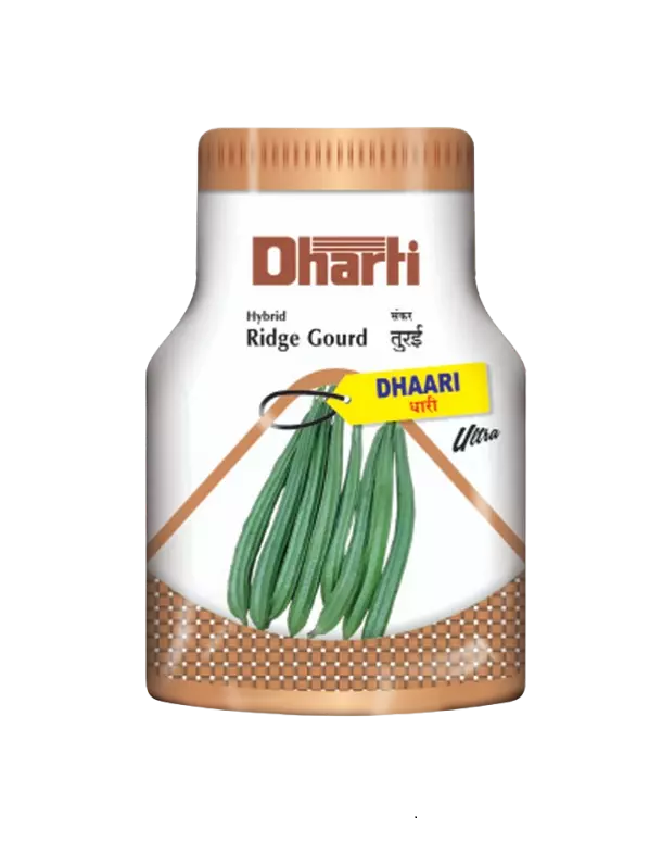 Ridgegourd Dhaari Ultra by Dharti Seeds