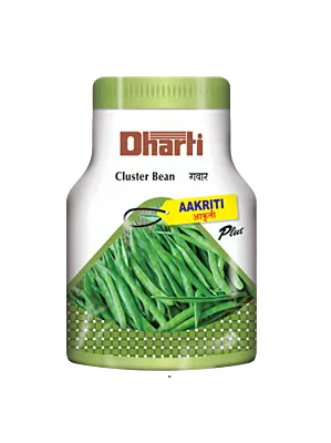 Cluster Bean AAKRITI plus by Dharti Seeds