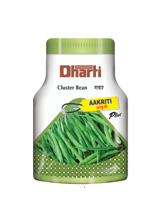 Cluster Bean AAKRITI plus by Dharti Seeds
