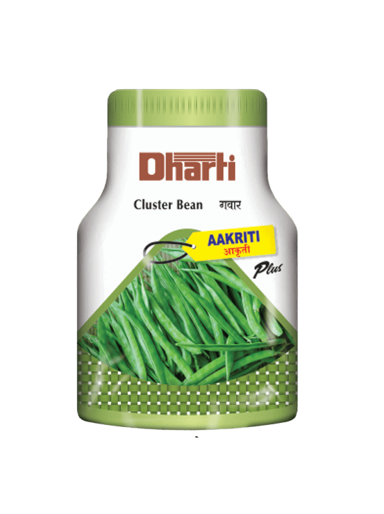 Cluster Bean AAKRITI plus by Dharti Seeds
