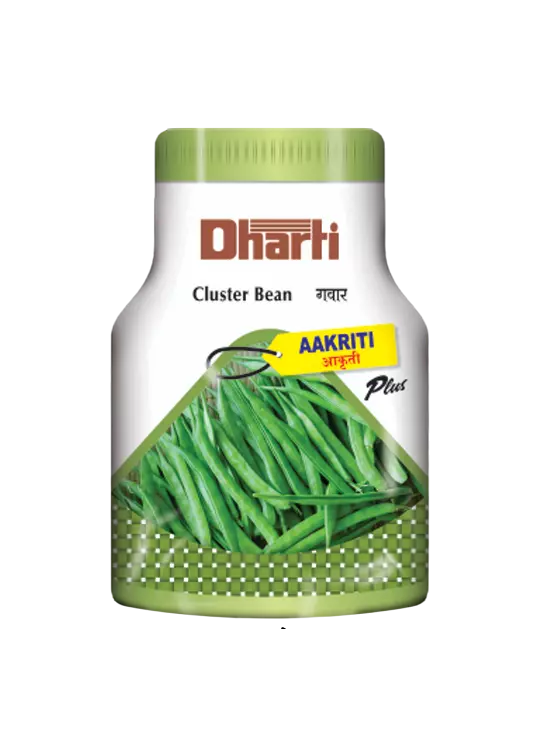 Cluster Bean AAKRITI plus by Dharti Seeds