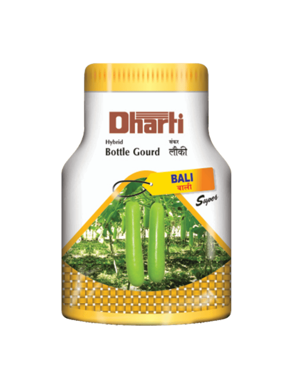 Hybrid Bottle Gourd BALI by Dharti Seeds