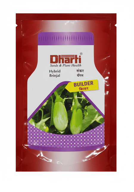 Hybrid Brinjal BUILDER by Dharti Seeds