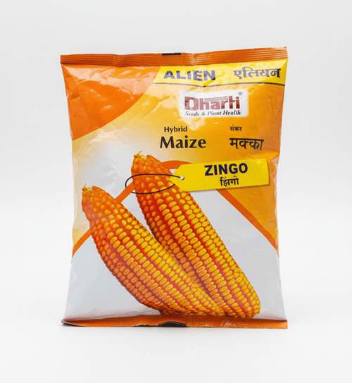 Dharti Seeds Hybrid Maize Zingo | High Yield, Disease Tolerant, Wide Adaptation