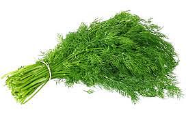 Dill Leaves – Fresh, Aromatic & Flavor-Packed