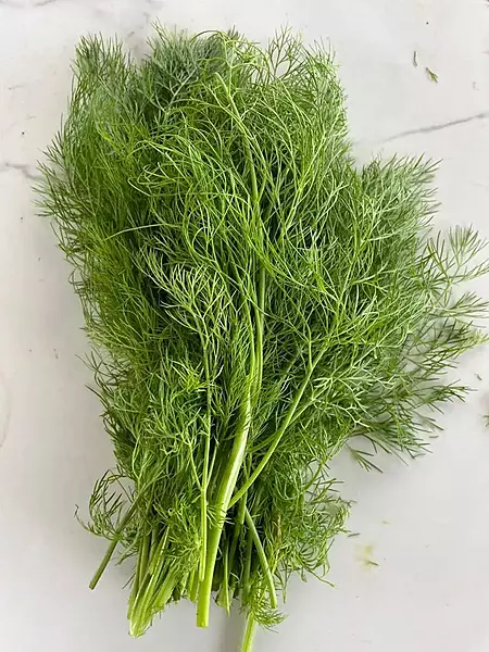 Dill Leaves 50 Gms - Delia