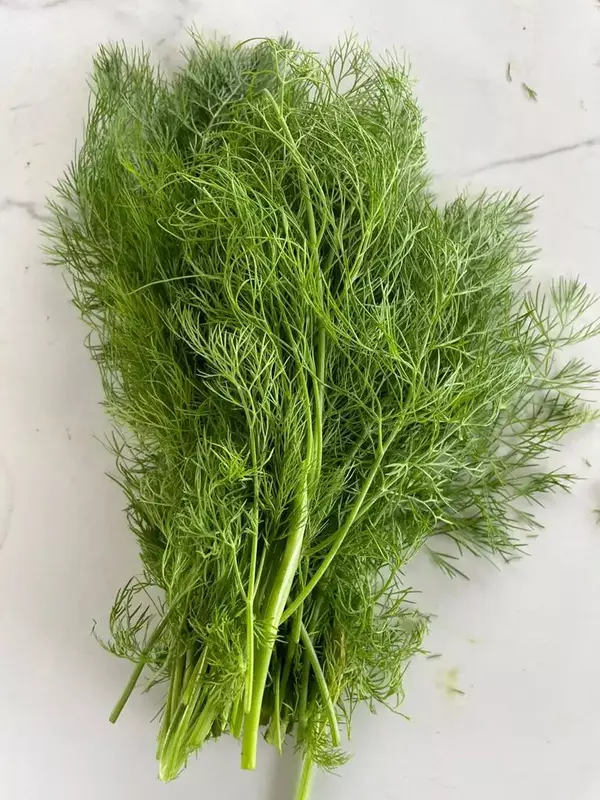 Dill Leaves 50 Gms - Delia