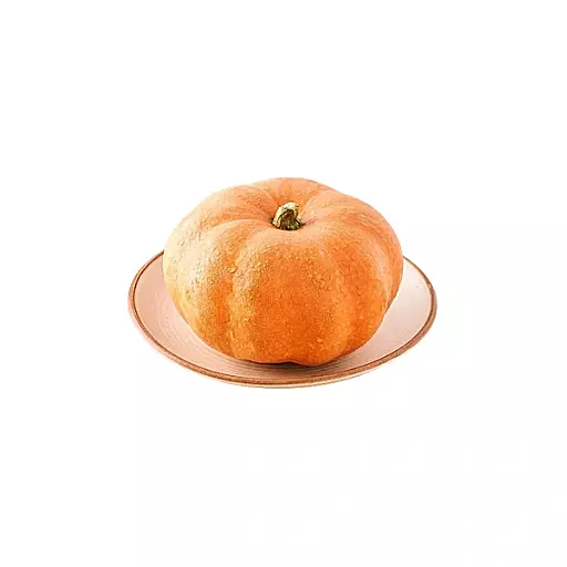 Discopumpkin (Pusanikkai)