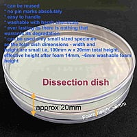 Dissecting Dish - Silicone or Foam pad inside